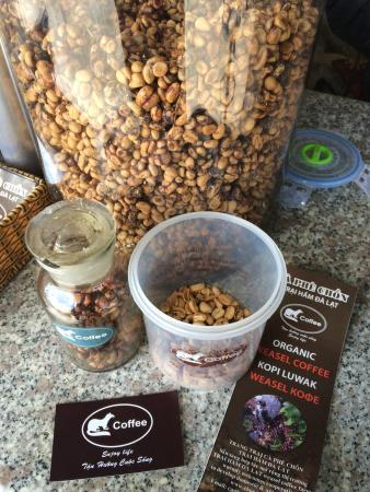Trai Ham Da Lat Weasel Coffee